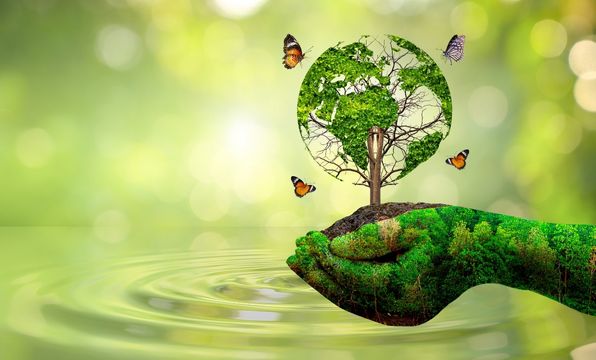 sürdürülebilirlik ve çevreye duyarlılık konusunda
                            kararlıyız.